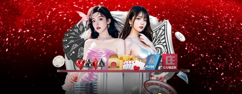 bra Provedores Premium